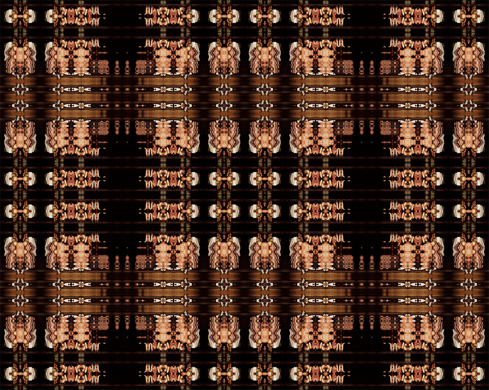 dutchmeataemhctudweboverview